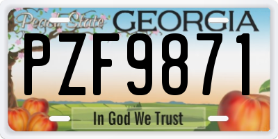 GA license plate PZF9871