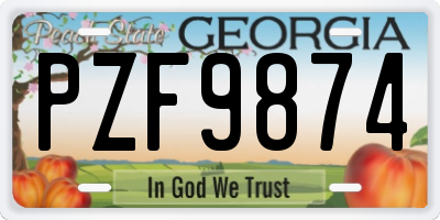 GA license plate PZF9874