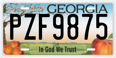 GA license plate PZF9875