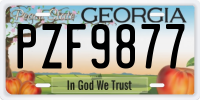 GA license plate PZF9877