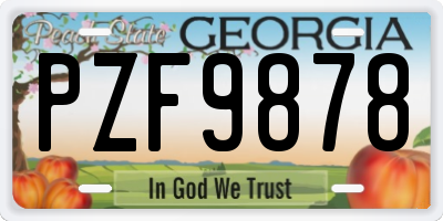 GA license plate PZF9878