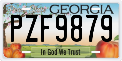 GA license plate PZF9879
