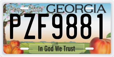 GA license plate PZF9881