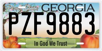 GA license plate PZF9883