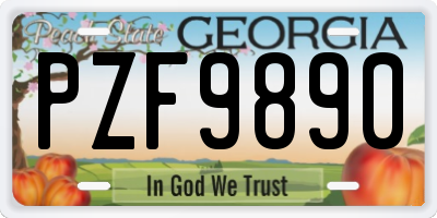 GA license plate PZF9890