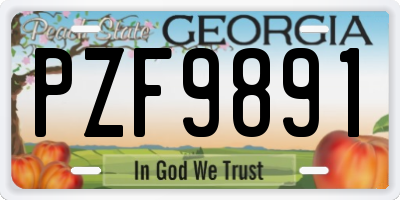 GA license plate PZF9891