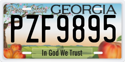 GA license plate PZF9895