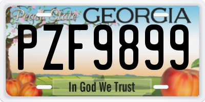 GA license plate PZF9899