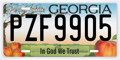 GA license plate PZF9905