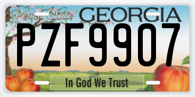 GA license plate PZF9907