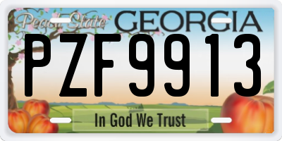 GA license plate PZF9913