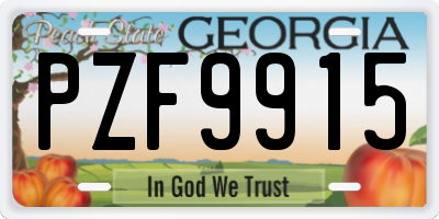 GA license plate PZF9915