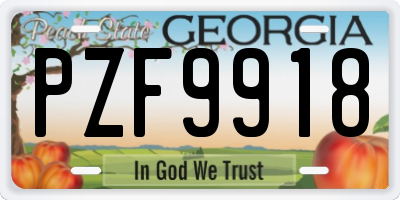 GA license plate PZF9918