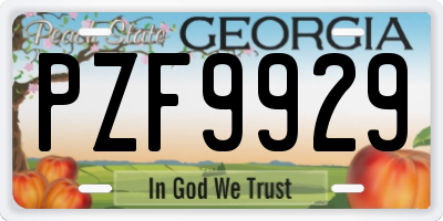 GA license plate PZF9929
