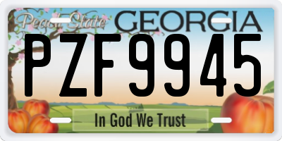 GA license plate PZF9945