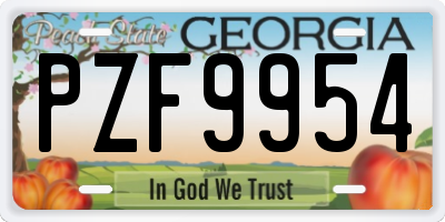 GA license plate PZF9954