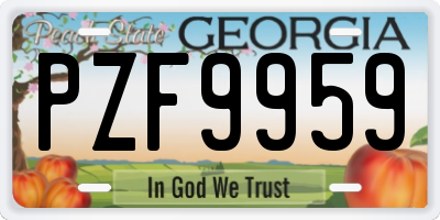 GA license plate PZF9959