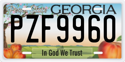 GA license plate PZF9960