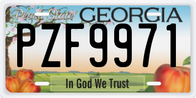GA license plate PZF9971