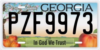 GA license plate PZF9973
