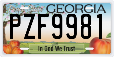 GA license plate PZF9981