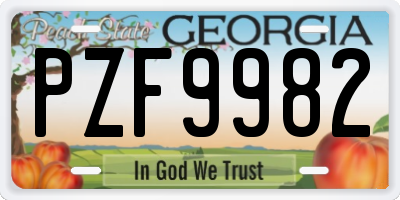 GA license plate PZF9982