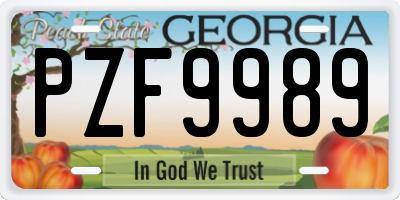 GA license plate PZF9989