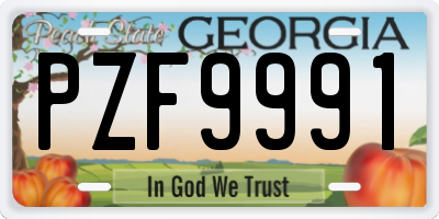 GA license plate PZF9991