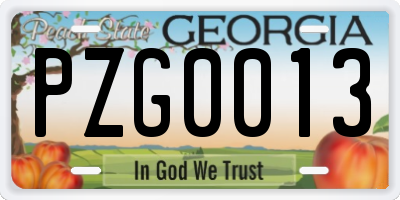 GA license plate PZG0013