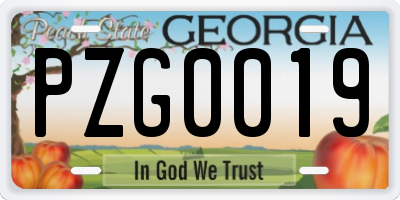 GA license plate PZG0019