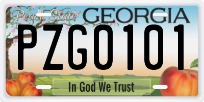 GA license plate PZG0101