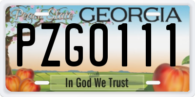 GA license plate PZG0111