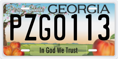 GA license plate PZG0113