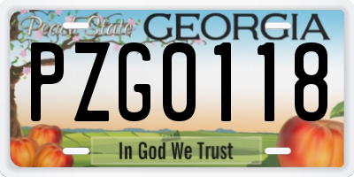 GA license plate PZG0118