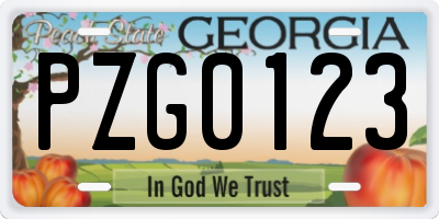 GA license plate PZG0123
