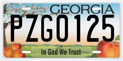 GA license plate PZG0125