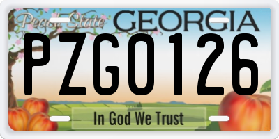 GA license plate PZG0126