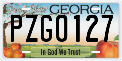 GA license plate PZG0127