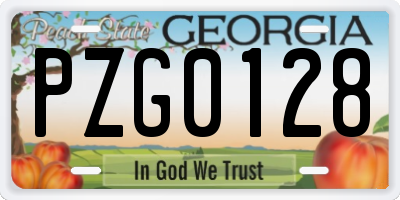 GA license plate PZG0128