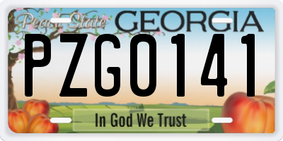 GA license plate PZG0141