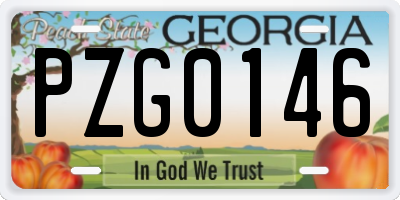 GA license plate PZG0146