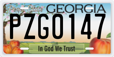 GA license plate PZG0147