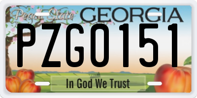 GA license plate PZG0151