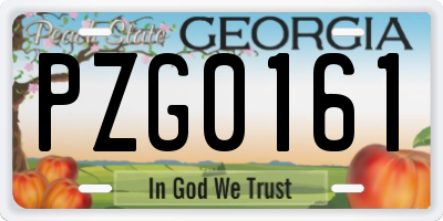 GA license plate PZG0161