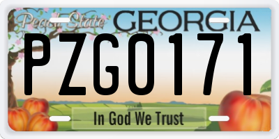 GA license plate PZG0171