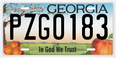 GA license plate PZG0183