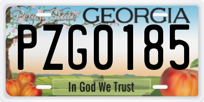 GA license plate PZG0185