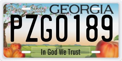 GA license plate PZG0189