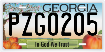 GA license plate PZG0205