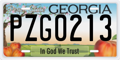GA license plate PZG0213